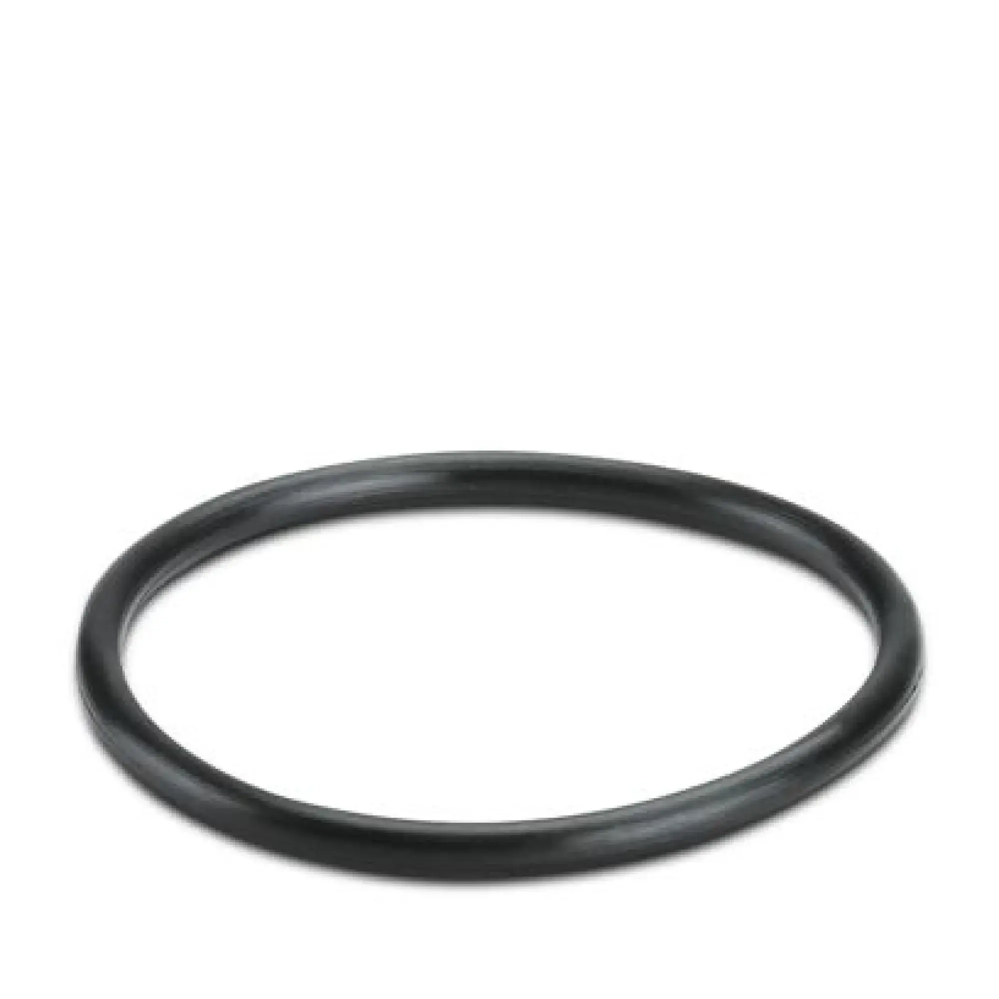 Phoenix Contact 3241193 Sealing ring WP-OR M40 (img_001) Phoenix Contact 3241193 Sealing ring WP-OR M40 (img_001)