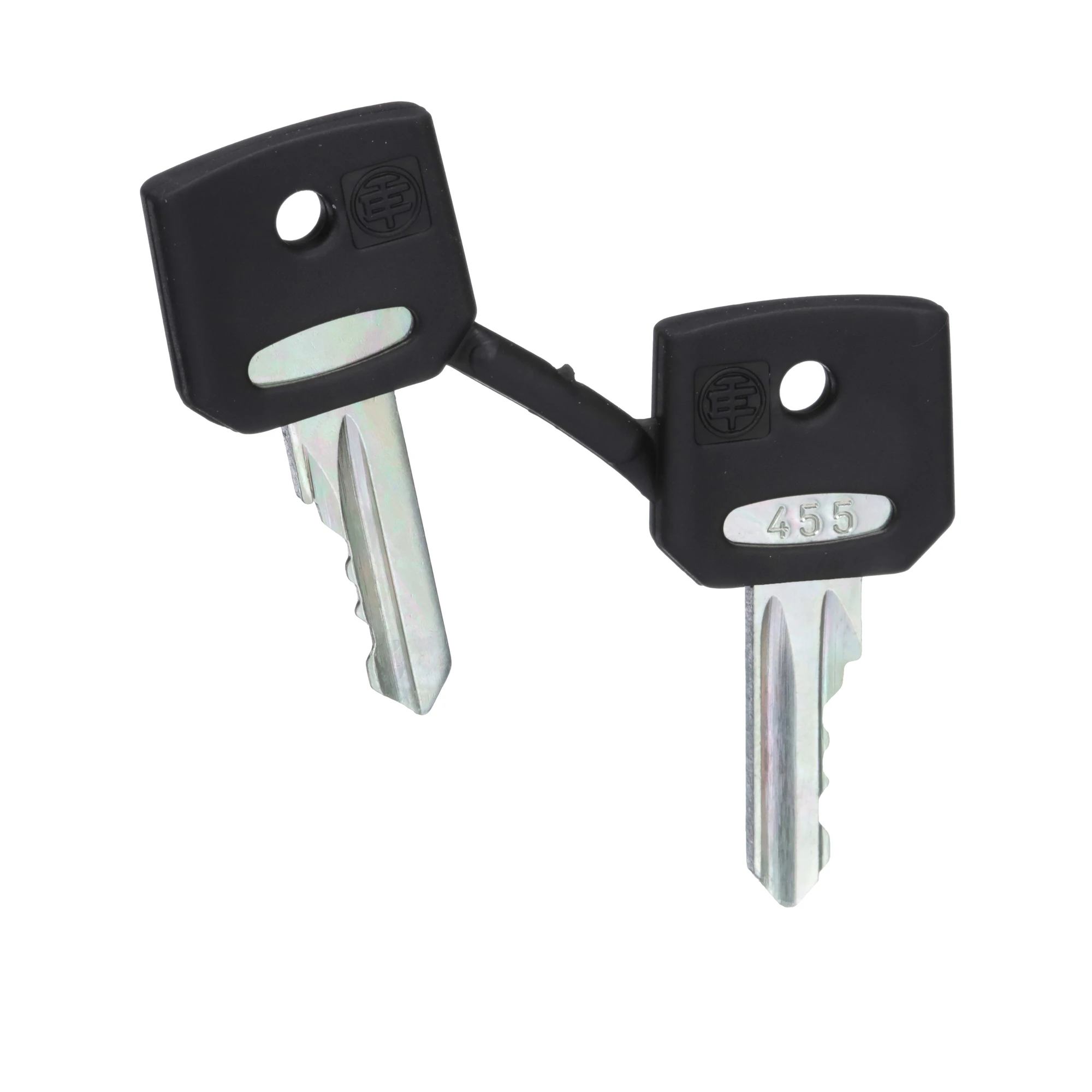 Schneider Electric ZBG455 Replacement key for key-operated switches, 455, packaging unit: 2 pcs. (img_001) Schneider Electric ZBG455 Replacement key for key-operated switches, 455, packaging unit: 2 pcs. (img_001)