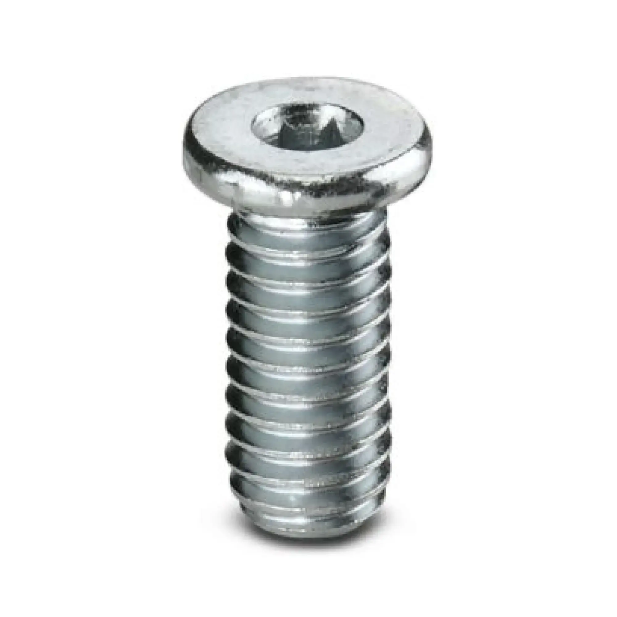 Phoenix Contact 0807025 Screw ZKS M6X12 SW 3,0 (img_001)