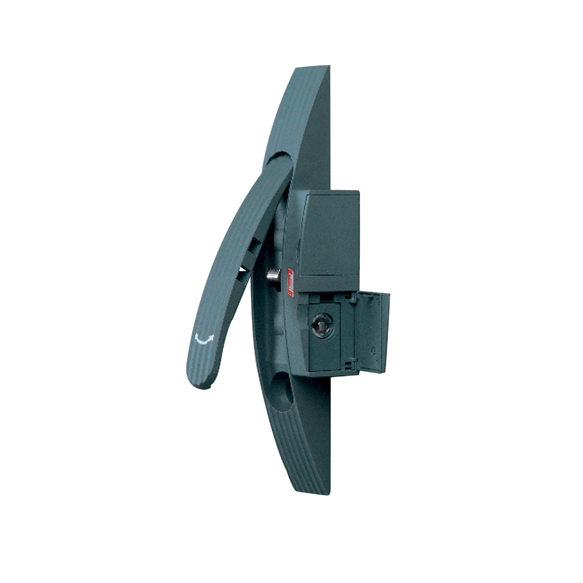 Schneider Electric NSYSDH Standard Handle in RAL 7011 (img_001)