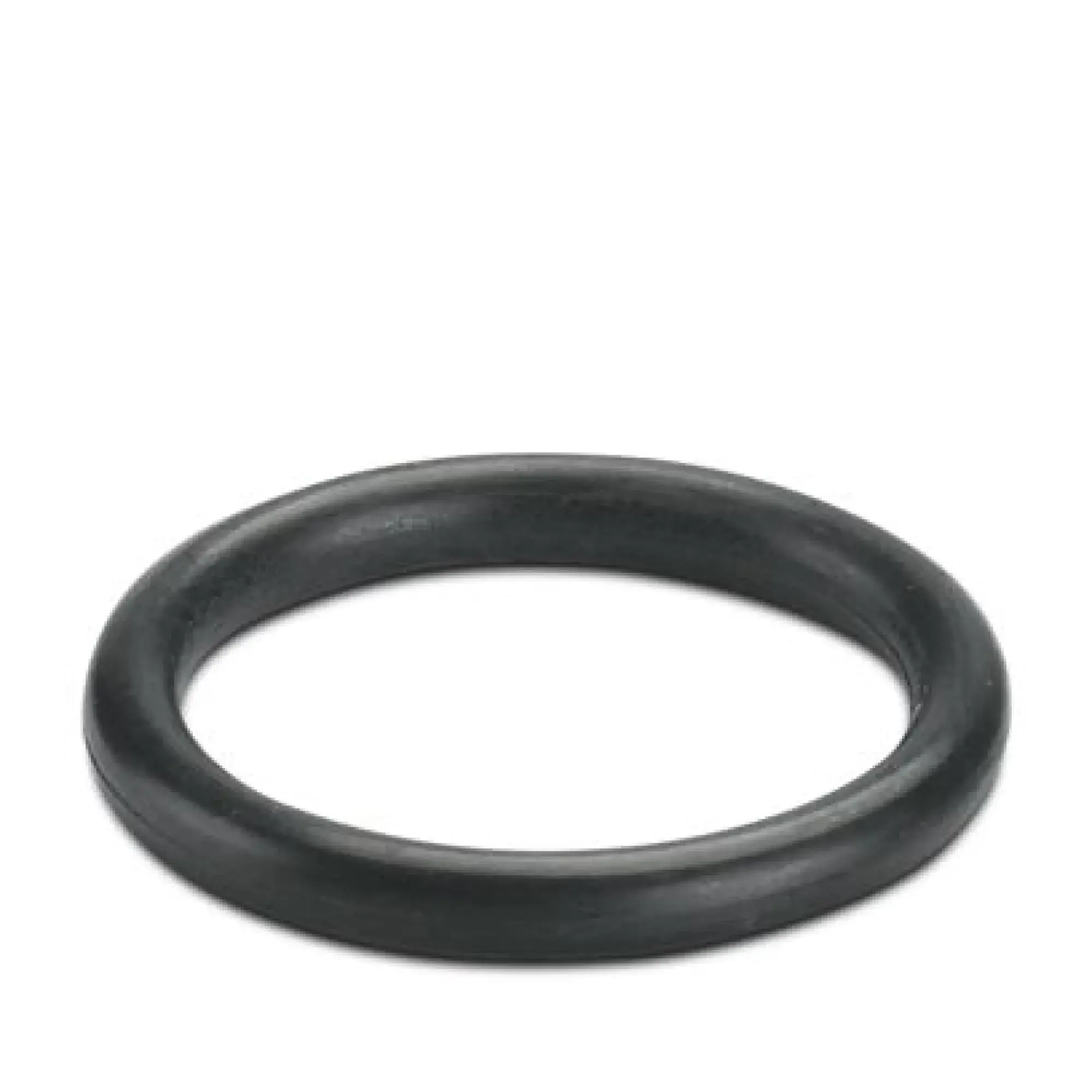 Phoenix Contact 3241195 Sealing ring WP-OR PG9 (img_001)