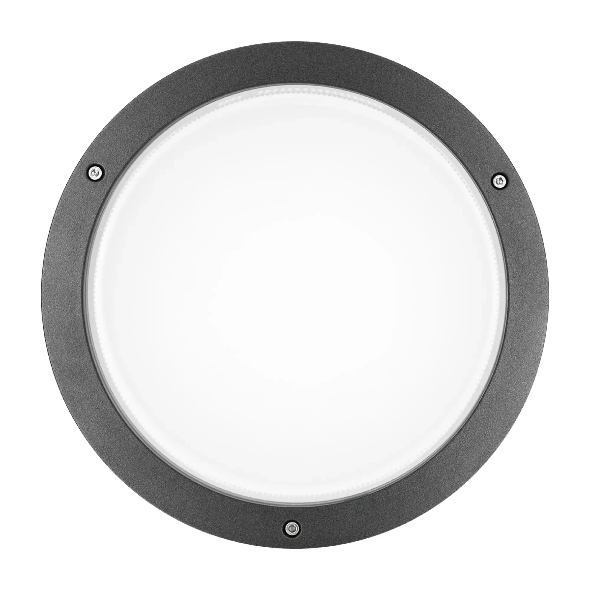 Performance iN Lighting 304225 LED-Wand- und Deckenleuchte 3000K 30W DALI symmetrische extrabreite Streuoptik 304225 (img_001) Performance iN Lighting 304225 LED-Wand- und Deckenleuchte 3000K 30W DALI symmetrische extrabreite Streuoptik 304225 (img_001)